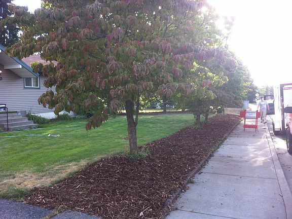 2nd image of 3128 E 31st Ave
