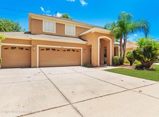4307 Balington Dr, Valrico, FL 33596