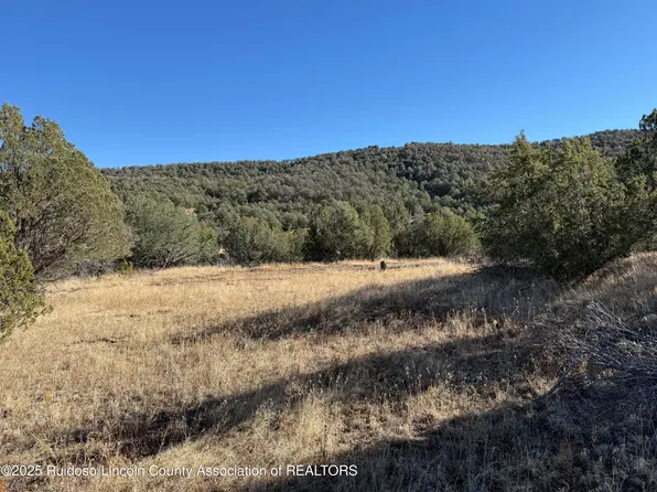 LOT 274 Paseo De Aguayo, Alto, NM 88312