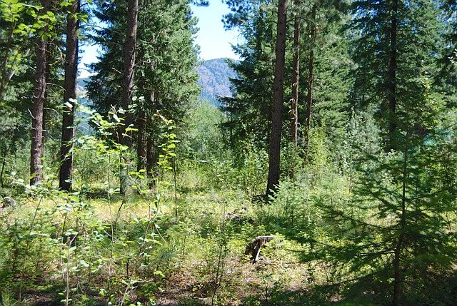 1st image of 9 Liberty Ln