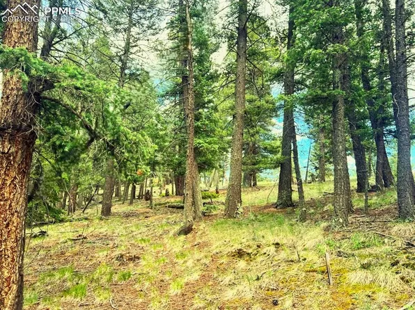 179 Kenosha Way, Florissant, CO 80816