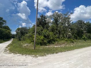 Smallman St, Webster, FL 33597
