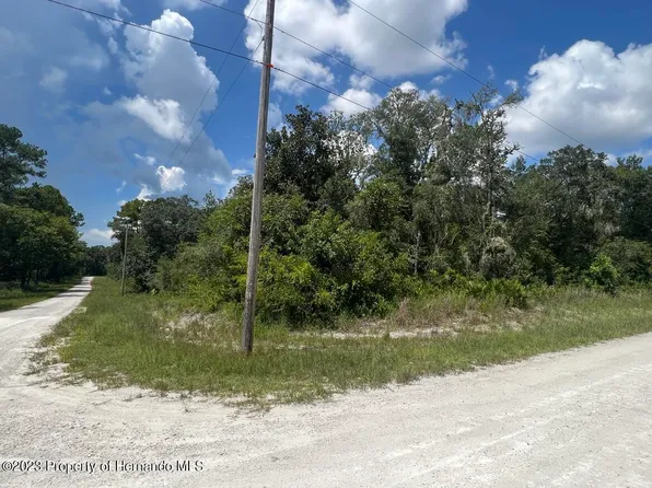 Smallman St, Webster, FL 33597