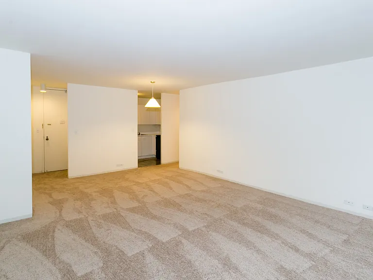 Dining/Living room