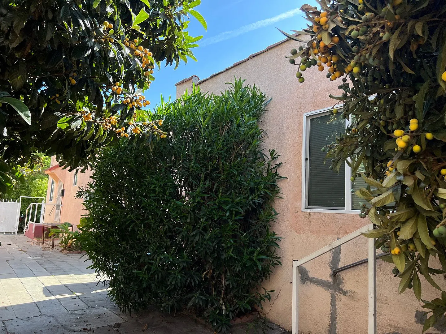 5223 De Longpre — Photo 4
