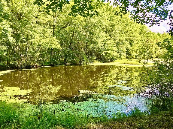 4th image of 0 Swamp Rd