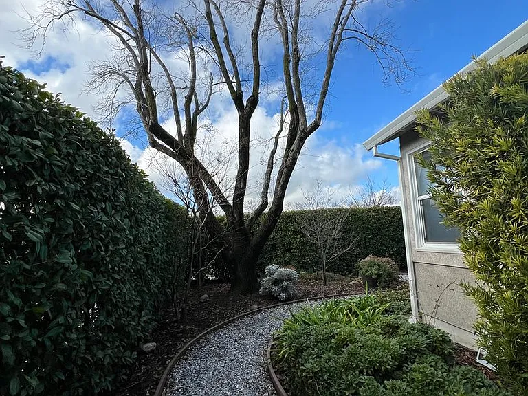1620 Park Ave — Photo 29