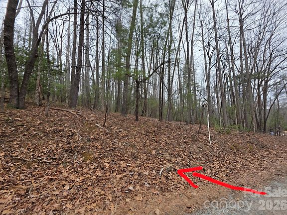 4th image of 0 Hickory Wood Trl #20-21