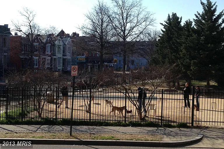 Dog park - across the street