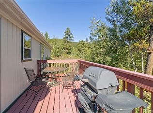 264 W Dory Way, Black Hawk, CO 80422