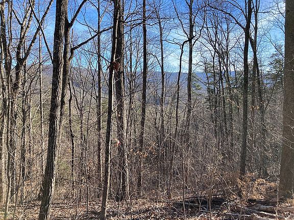 4th image of 4011 Butterfly Gap Loop