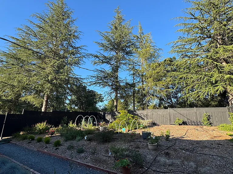 Germone Rd — Photo 18