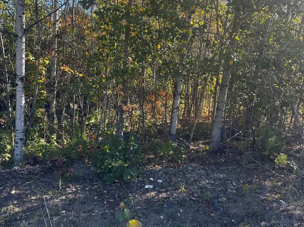 23 Freeland Dr, Gravenhurst, ON P1P 1Z6