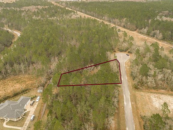 3rd image of 77 Old Palmetto Path St