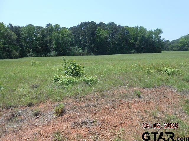 1st image of LOT 4 County Road 217 E