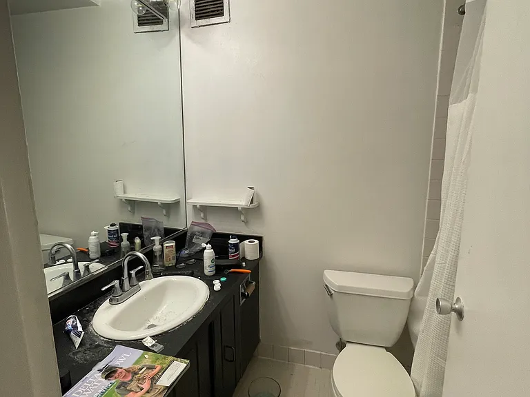 233 E Erie St #2309 — Photo 19