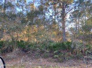 413 Birch Blvd, Georgetown, FL 32139