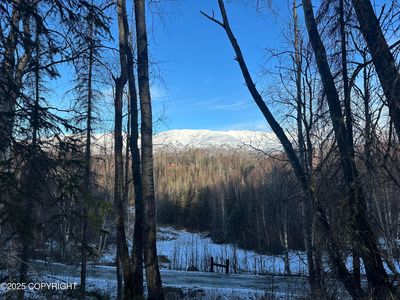 L6 B Spruce Hvn #2, Palmer, AK, 99645