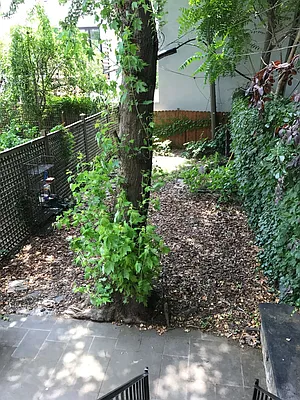 Rented by Compass | media 23