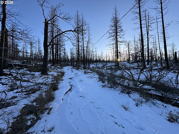 4th image of Hummingbird Dr #1