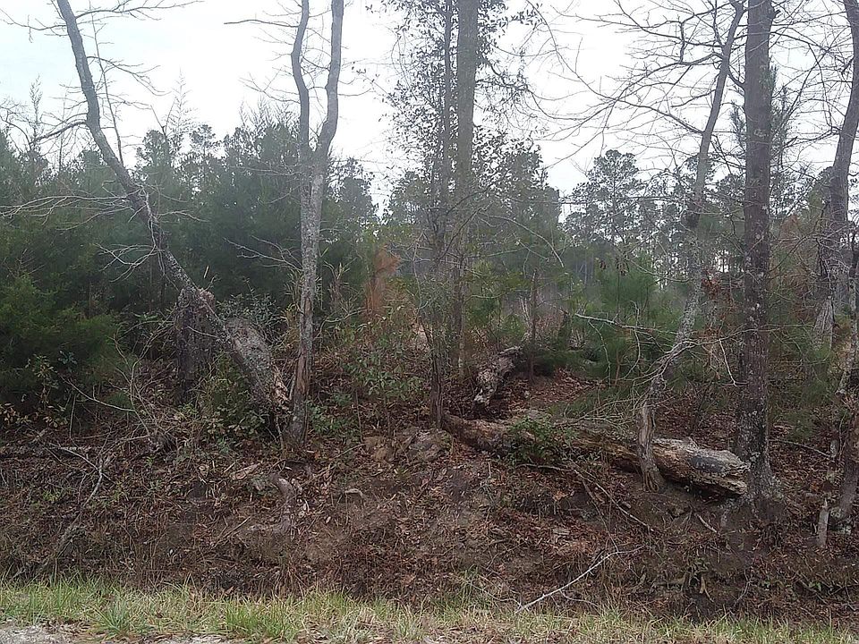 2nd image of TBD Old Forest Dr. Lot 2