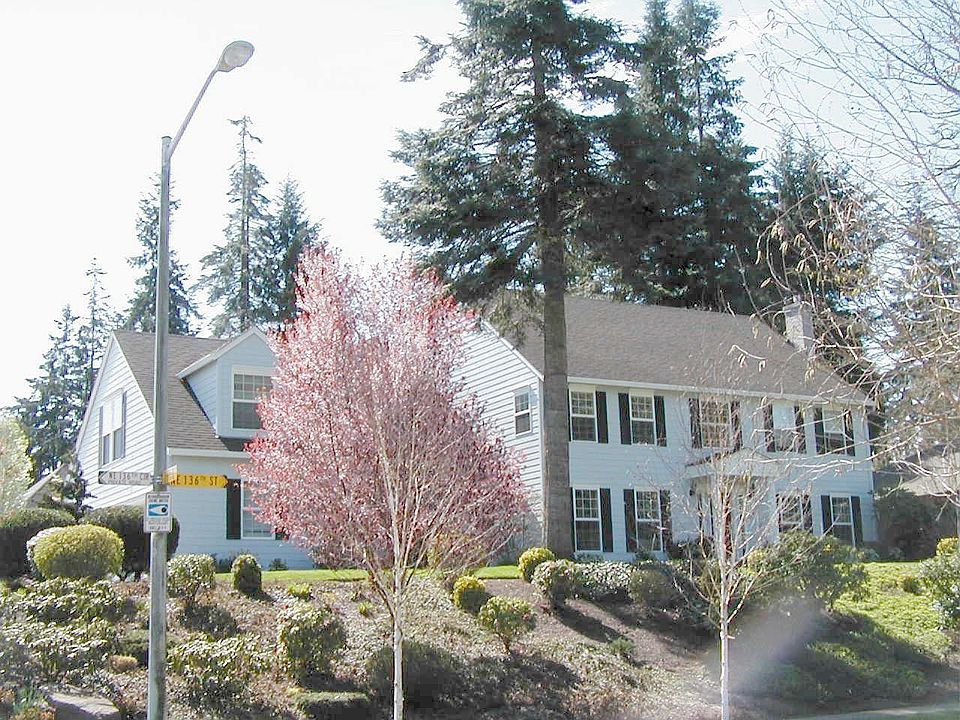 Before the landscaping