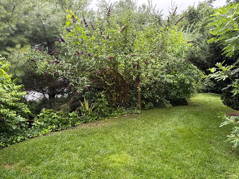 Flower Ave — Photo 25