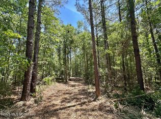 2 McNair Springs Rd, Magee, MS 39111