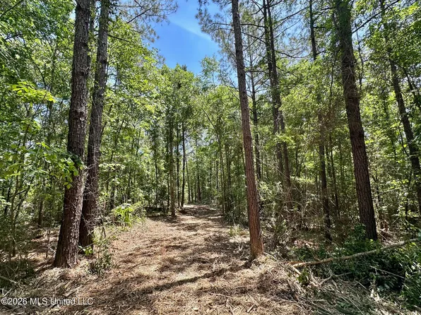 2 McNair Springs Rd, Magee, MS 39111
