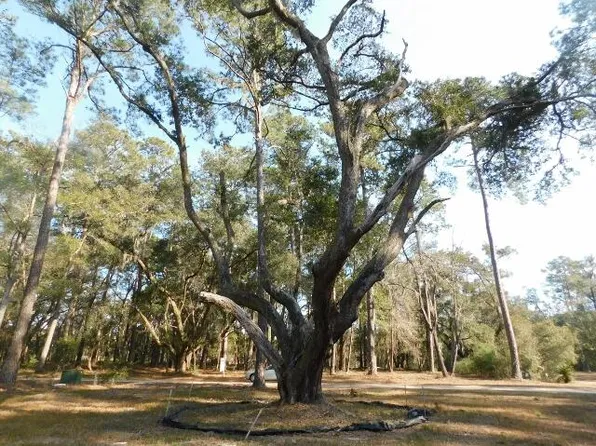 7775 Chaplin Garden Ln, Edisto Island, SC 29438