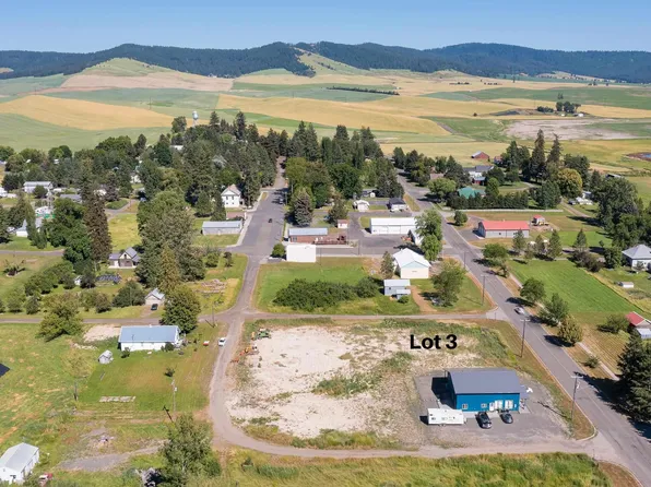 Washington St Lot 3, Farmington, WA 99128