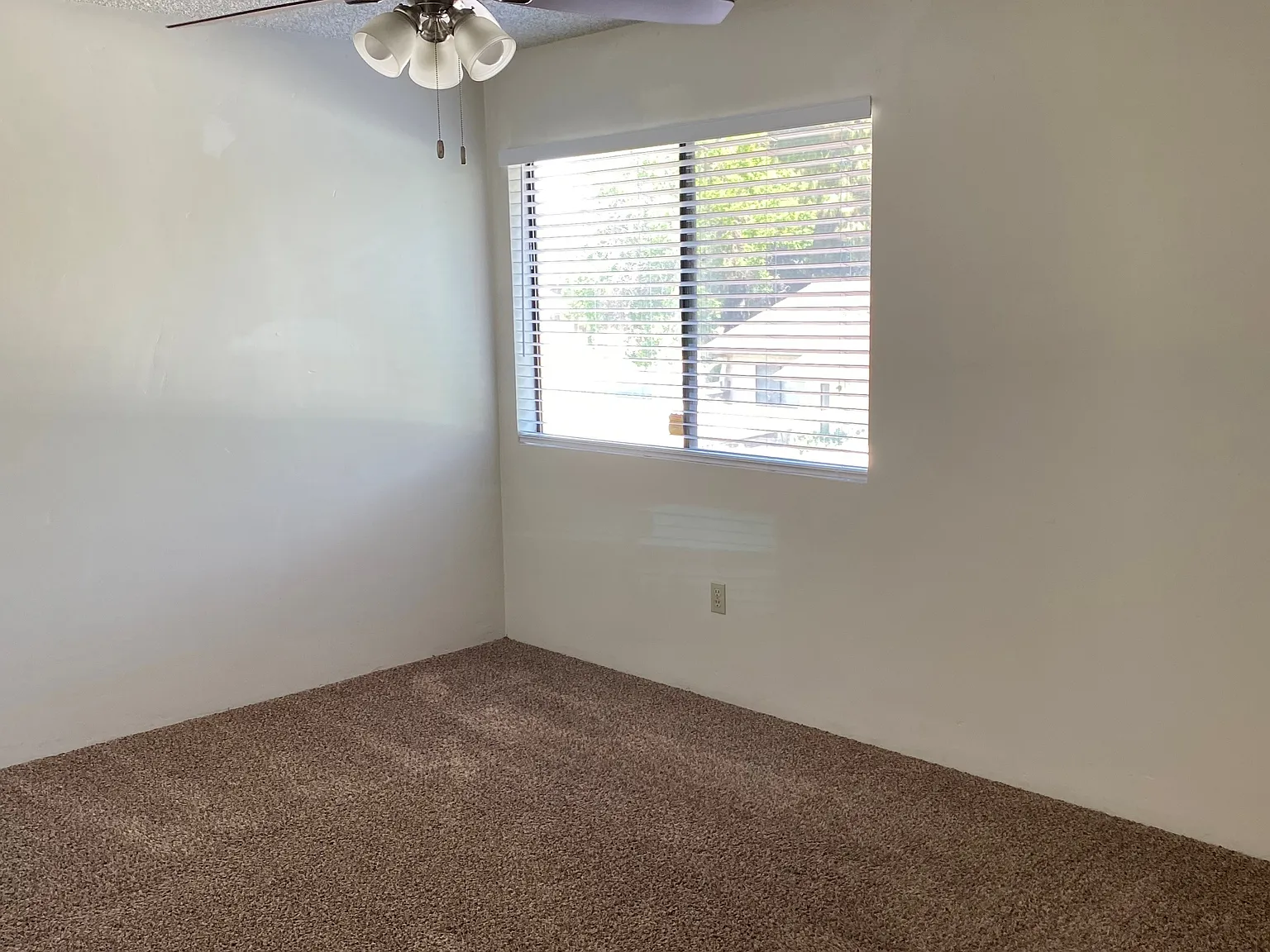 804 Quailridge Rd — Photo 4