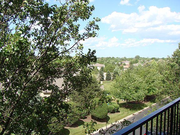 3rd image of 11851 Windemere Ct APT 304
