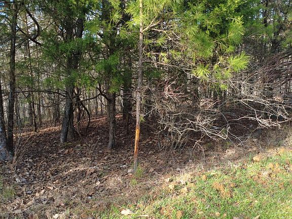 4th image of 61 County Road 650