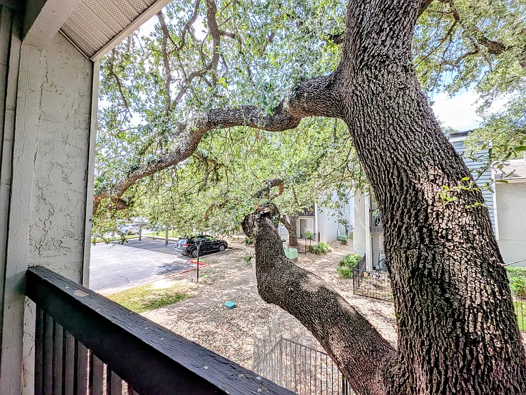 Grove at Northwest Hills — Photo 104