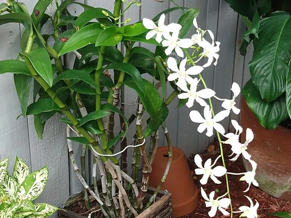 (undisclosed Address), Ocala, FL 34470