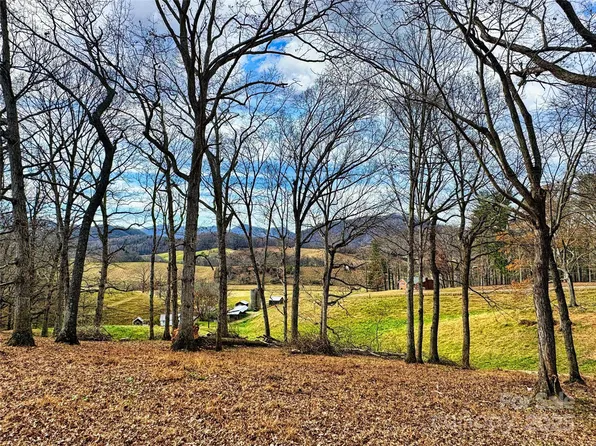 99999 Old Newfound Rd, Leicester, NC 28748