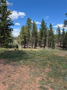 1396 Roberts Ranch Rd, Woodland Park, CO, 80863