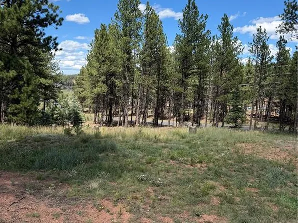 1396 Roberts Ranch Rd, Woodland Park, CO 80863