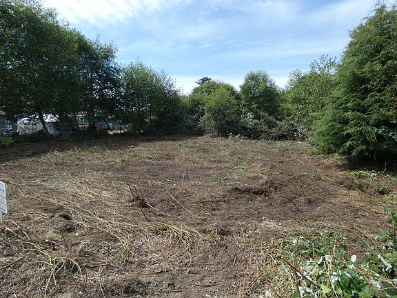 3rd image of Hollyhock St