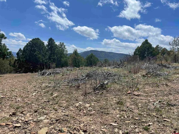 1131 Lodge Pole Drive, Pagosa Springs, CO 81147