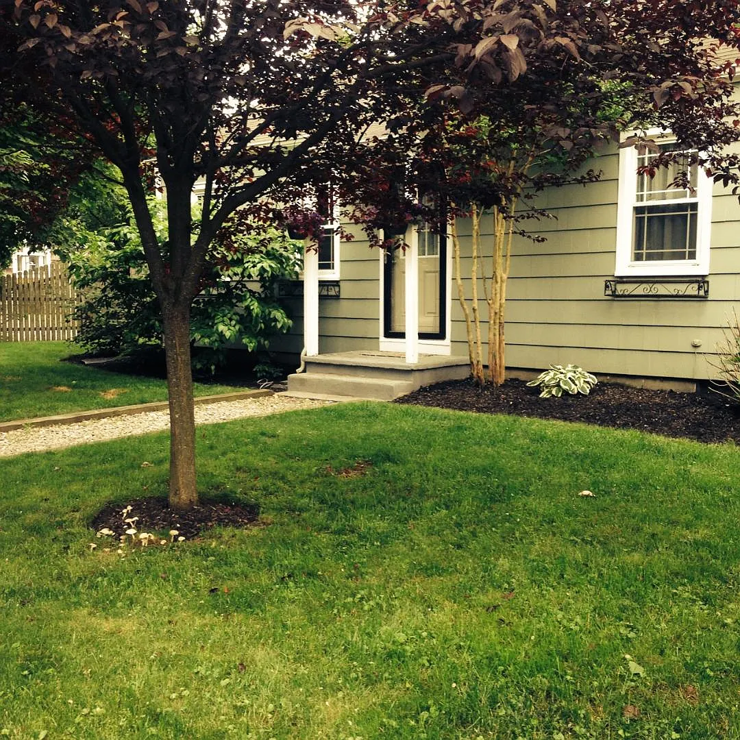309 Deerfoot Ln photo 1