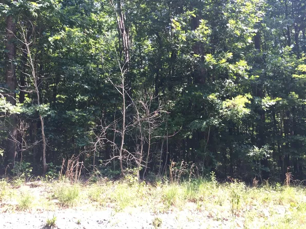 48 Ridge Cliff Dr Lot 48, Monteagle, TN 37356