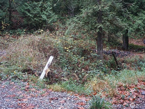 3rd image of 4703 Ames Lake Carnation Rd NE
