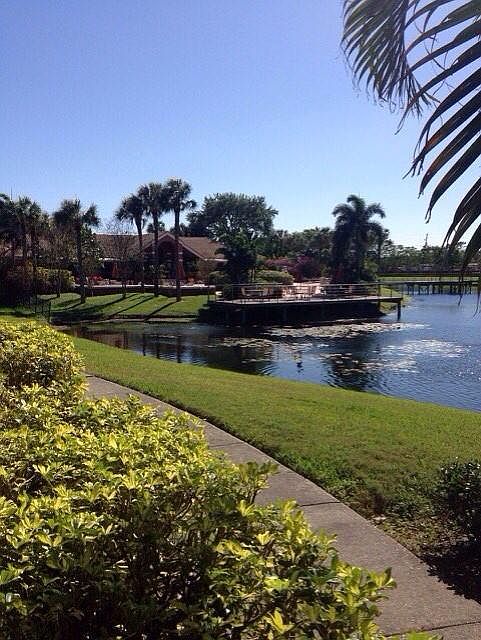 overlooking the swimming pool and the club house