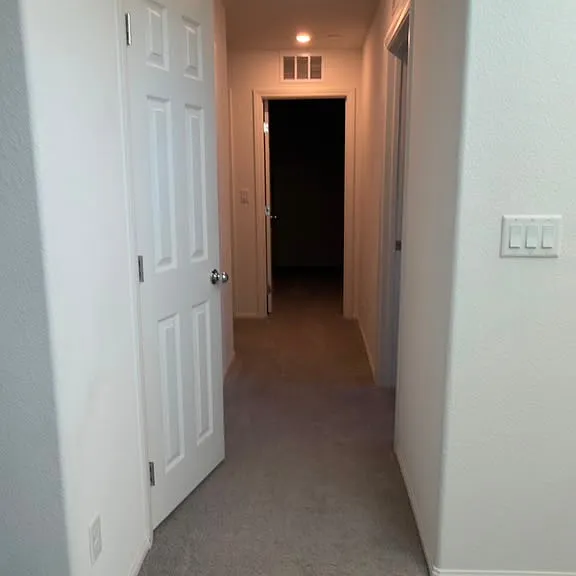10610 Sariah Skye Ave — Photo 24