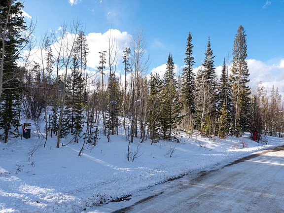 4th image of 631 Forest Trl