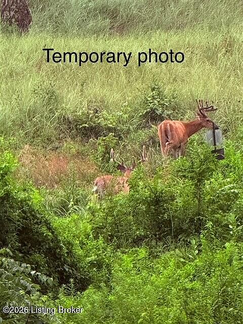 1st image of 0 Youngers Creek Rd