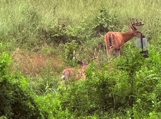 0 Youngers Creek Rd, Elizabethtown, KY 42701