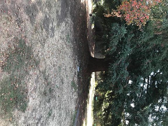3rd image of 239 Vera Ave